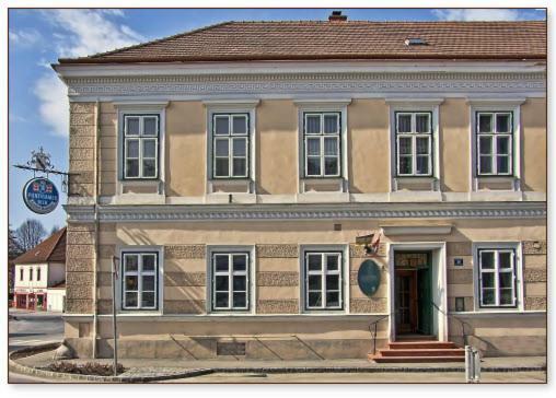 Gasthof Manhalter Pitten Exteriör bild